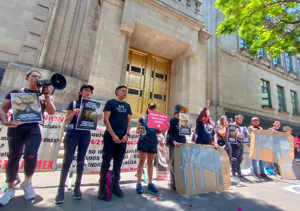 Colectivos durante una protesta para la liberación de la elefanta Ely en imagen de archivo. Foto Moisés Pablo / Cuartoscuro / La Jornada