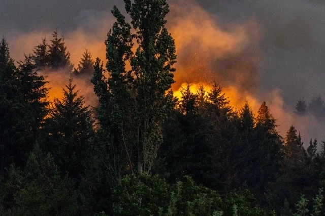 avier Milei, seguía desconociendo la ferocidad de un incendio incontrolable, en el llamado paraíso de la Patagonia. Foto Afp