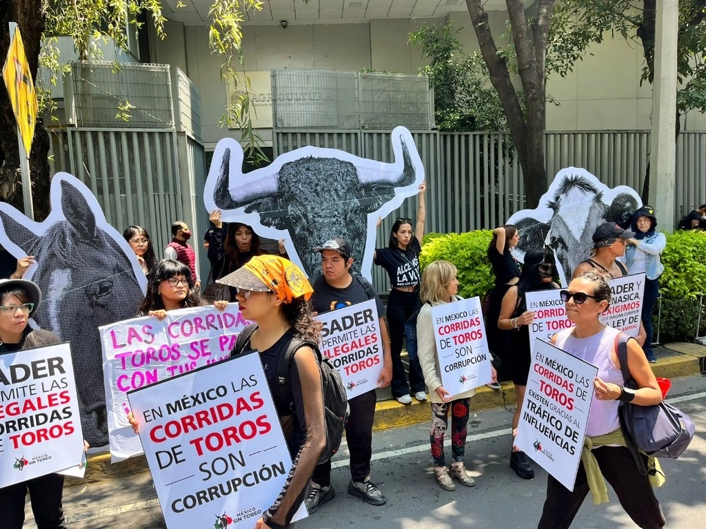 Activistas defensores de los derechos animales, pidió a la Sader castigue las corridas de toros que se celebran a pesar de la prohibición. Foto Luis Castillo
