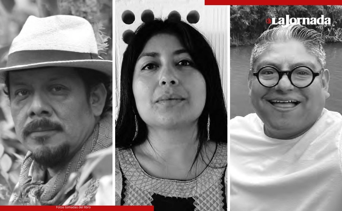 El volumen reúne artículos del comunicador Fermín Ledesma Domínguez, la socióloga Josefa Sánchez Contreras y el historiador Fortino Domínguez. Foto 
