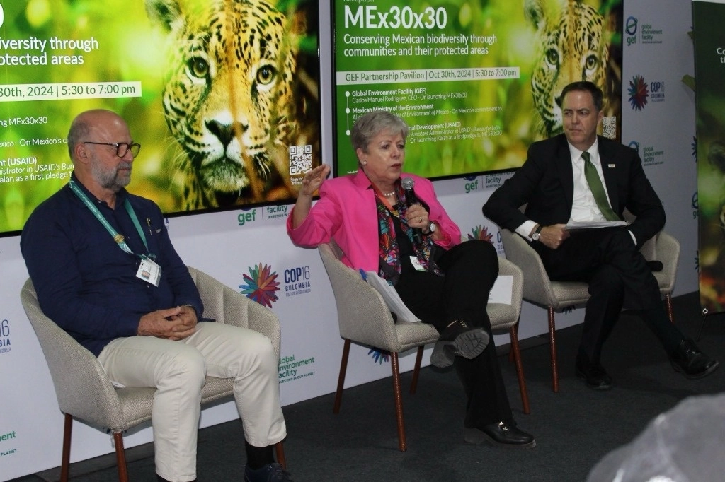 Bárcena indicó en el contexto de la COP16, desde Cali, Colombia, buscará que en seis años las 232 Áreas Naturales Protegidas de México, que conservan la biodiversidad de 14 por ciento de la superficie terrestre y 25 de la marina, cuenten con recursos suficientes bajo un manejo efectivo para asegurar el tesoro nacional. Foto tomada de X @aliciabarcena.