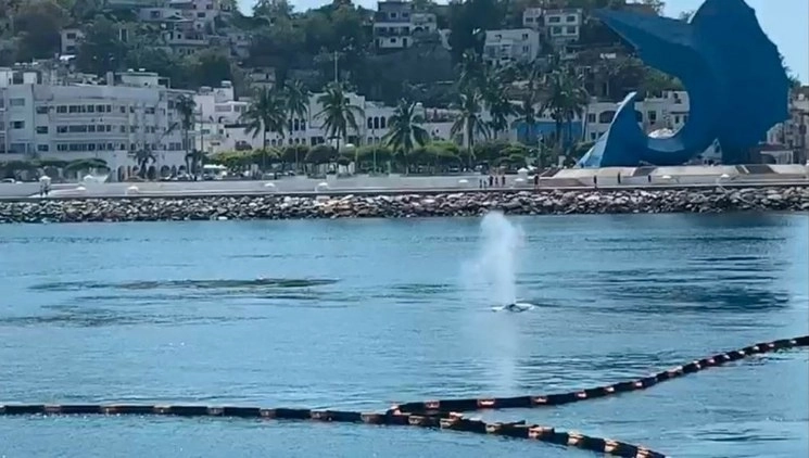 En la imagen, el puerto de Manzanillo, Colima. Foto cortesía Universidad de Colima
