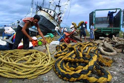 La sanción afectará a todas las personas de la cadena: pescadores, transportistas y comercializadores. Foto archivo