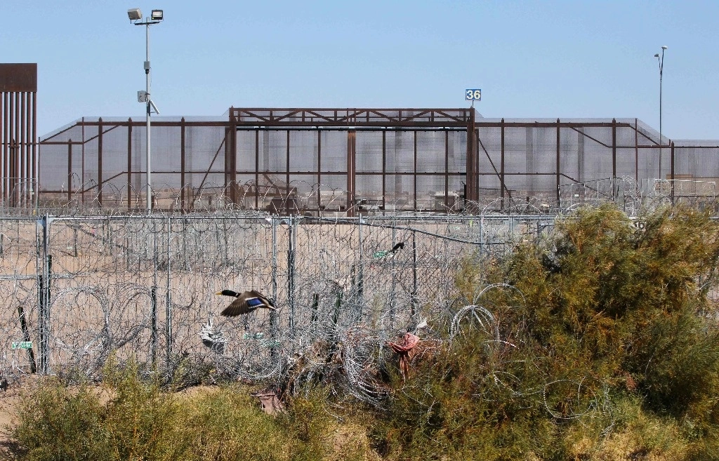 La secretaria de Gobernación, Rosa Icela Rodríguez, aseguró que México no será tercer país seguro ante posibles deportaciones masivas de migrantes que lleve a cabo el gobierno de Estados Unidos. Foto Afp