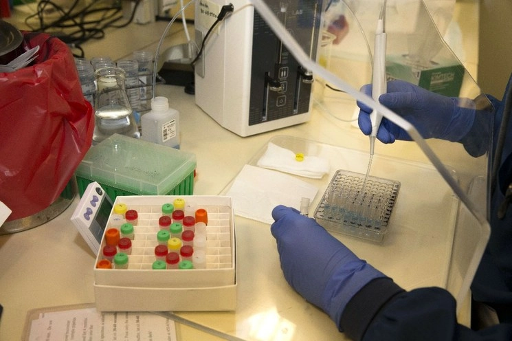 Una científica realiza pruebas clínicas en el laboratorio de Inmunología de UW Medicine en busca de anticuerpos contra el SARS-CoV-2, una cepa de virus que causa la enfermedad de Covid-19. Foto AFP 