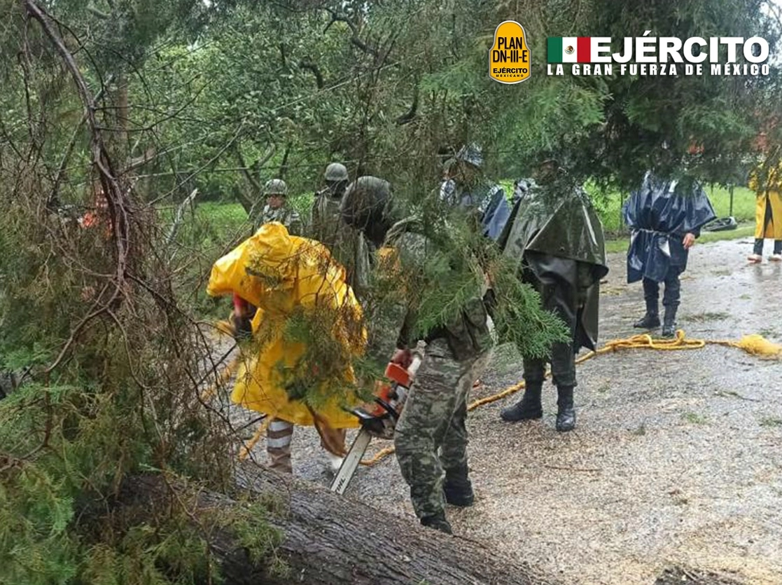 En Ario de Rosales los fuertes vientos derribaron varios árboles, informó la Secretaría de la Defensa Nacional, el 26 de octubre de 2021. Imagen tomada del Twitter de @SEDENAmx
