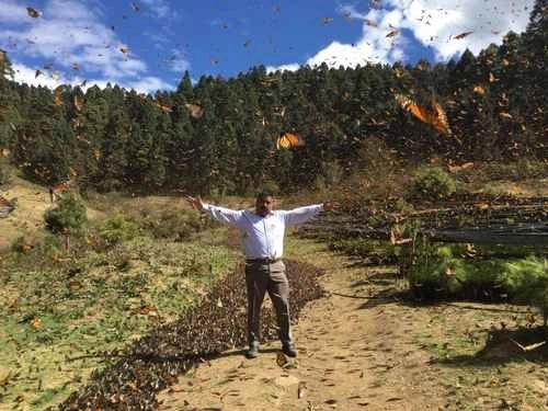 Homero Gómez González, activista y administrador del santuario de la mariposa monarca El Campanario, fue encontrado muerto en Ocampo, Michoacán. Fotografía tomada de su cuenta de Facebook 