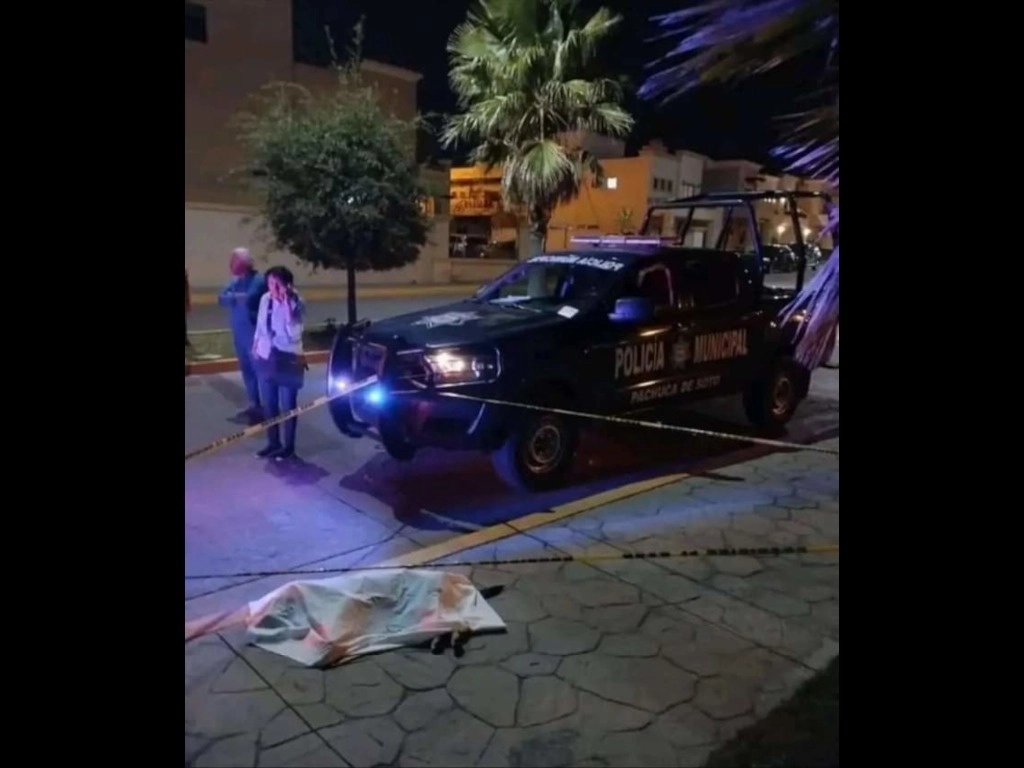 El guardia de seguridad justificó su actuar en contra del canino al señalar que ingresaba al exclusivo fraccionamiento Provenza Zona Plateada y “a nosotros ya nos reportaron de que no lo quieren”. Foto ‘La Jornada’