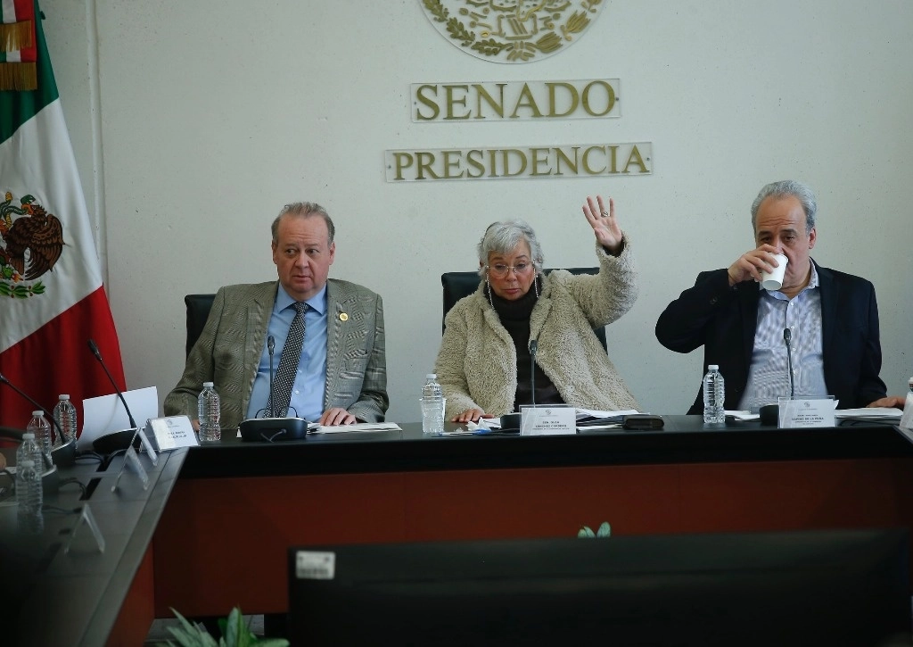 Sesión de la Comisión de Justicia del Senado de la República. Foto María Luisa Severiano