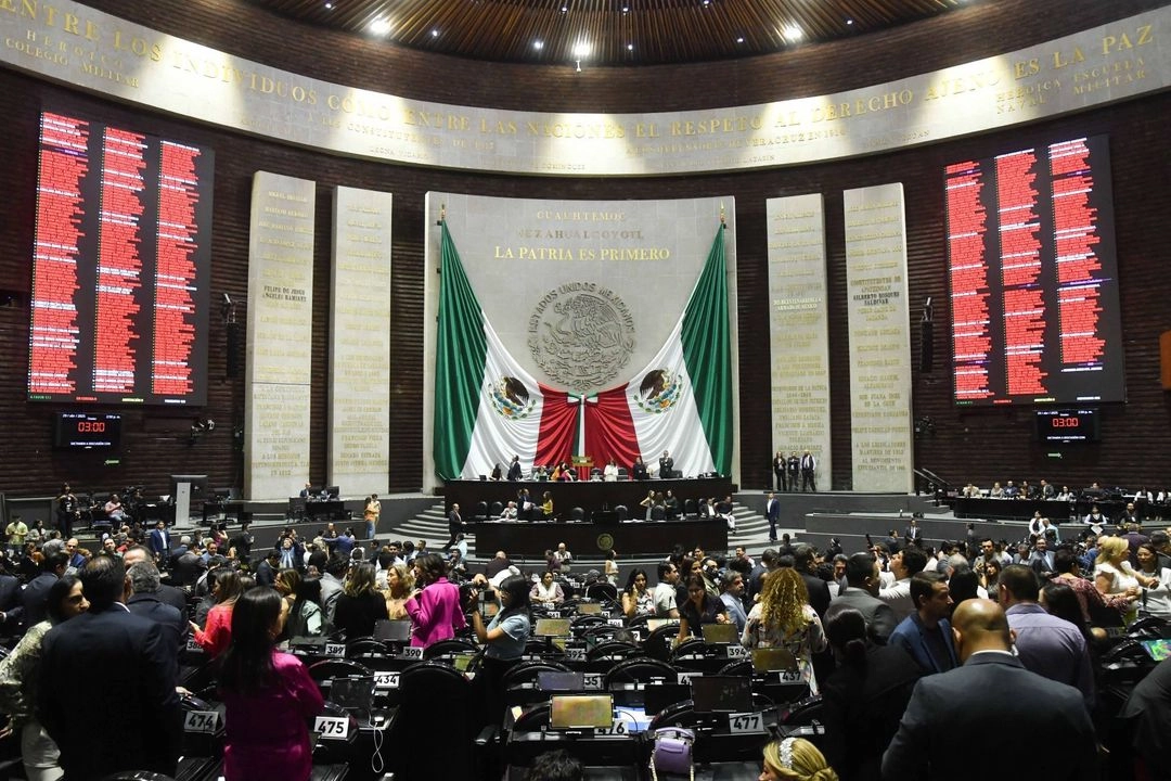 Durante una sesión del pleno de la Cámara de Diputados 