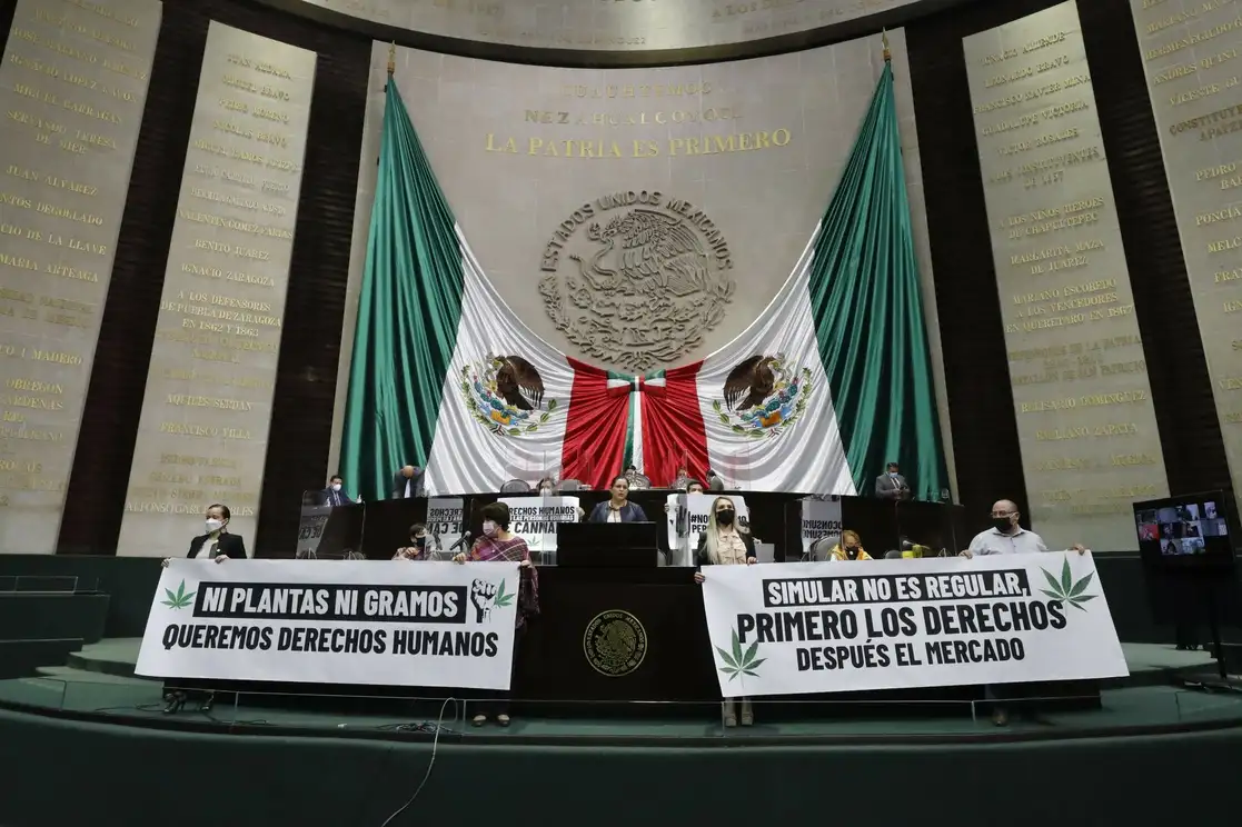 Durante la discusión de la Ley Federal para la Regulación del Cannabis, esta tarde en San Lázaro. Foto: Cámara de Diputados  