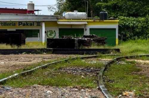 El viernes resolverán a la comunidad Ch'ol si conceden o no la suspensión definitiva del Tren Maya. Foto Notimex /Archivo