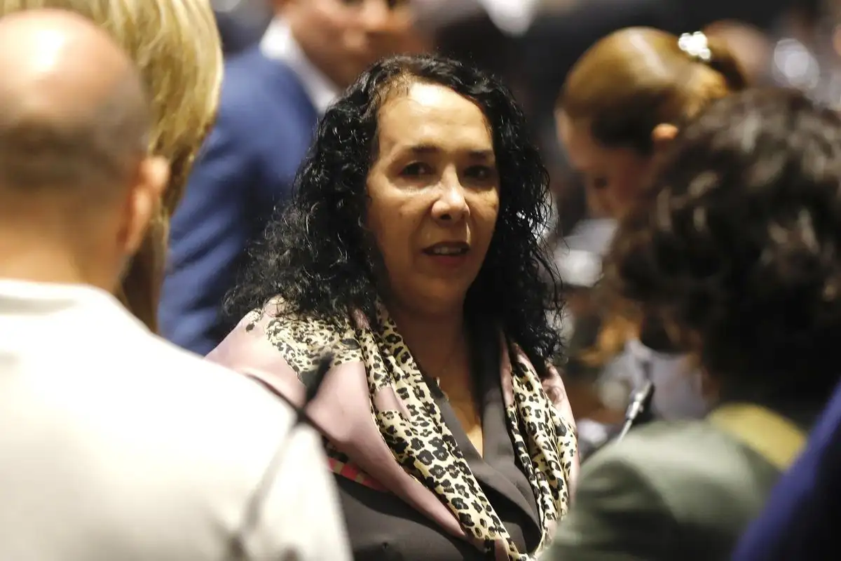 Brown Figueredo es fundadora de Morena, al concluir su trienio municipal obtuvo en la Ciudad de México la nominación a la diputación federal ante el rechazo de otra candidatura local.

