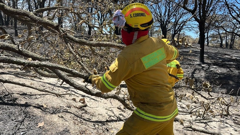Elementos de Protección Civil de Jalisco realizan trabajos para la extinción del incendio en el Bosque de la Primavera, el 25 de abril de 2023. Foto tomada de www.facebook.com/PCJalisco19