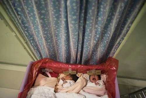 Bebés de mamás infectadas por Covid son aislados y protegidos con plásticos de colores para identificarlos en el Instituto Perinatal de Lima, Perú, donde 30 por ciento de embarazadas han dado positivo. Foto Ap