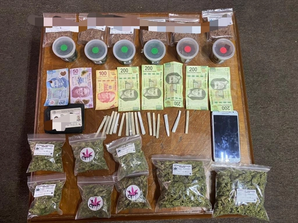 En los 48 cateos en el noroeste del país se aseguraron siete buches de totoaba, 700 kilogramos de mariguana, cinco de metanfetamina, ocho de fentanilo y seis de heroína. Foto cortesía Fiscalía General de la República 