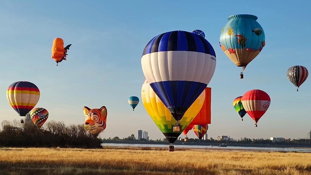 Una mañana fresca y un cielo despejado fueron el escenario donde confluyeron diversas figuras de ranas, dinosaurios, perros, tigres, gatos, una casa de dulce, un Frankenstein, un robot, un perico, un unicornio, entre otros personajes. Foto Carlos García