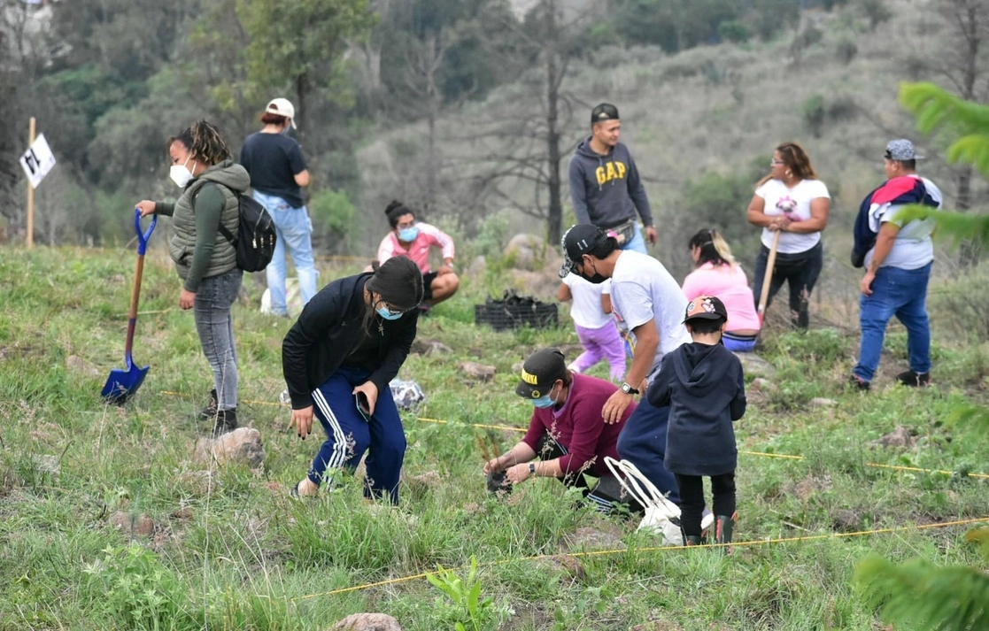 Este sábado arrancó el plan de reforestación de la Sierra de Guadalupe 2022, con 6 mil árboles para una superficie de ocho hectáreas. Foto La Jornada