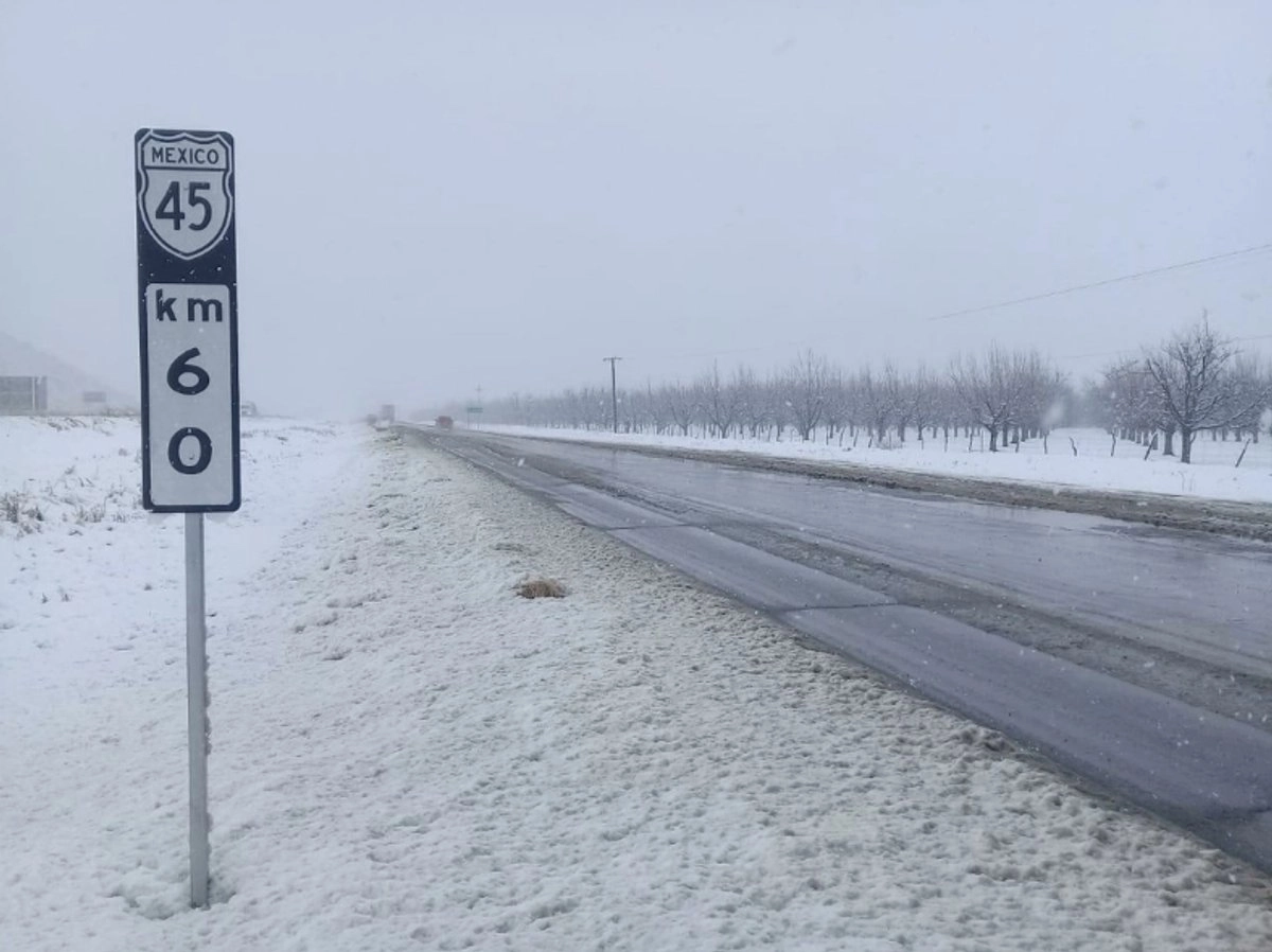 Aspectos de una nevada al norte del país en imagen de archivo.