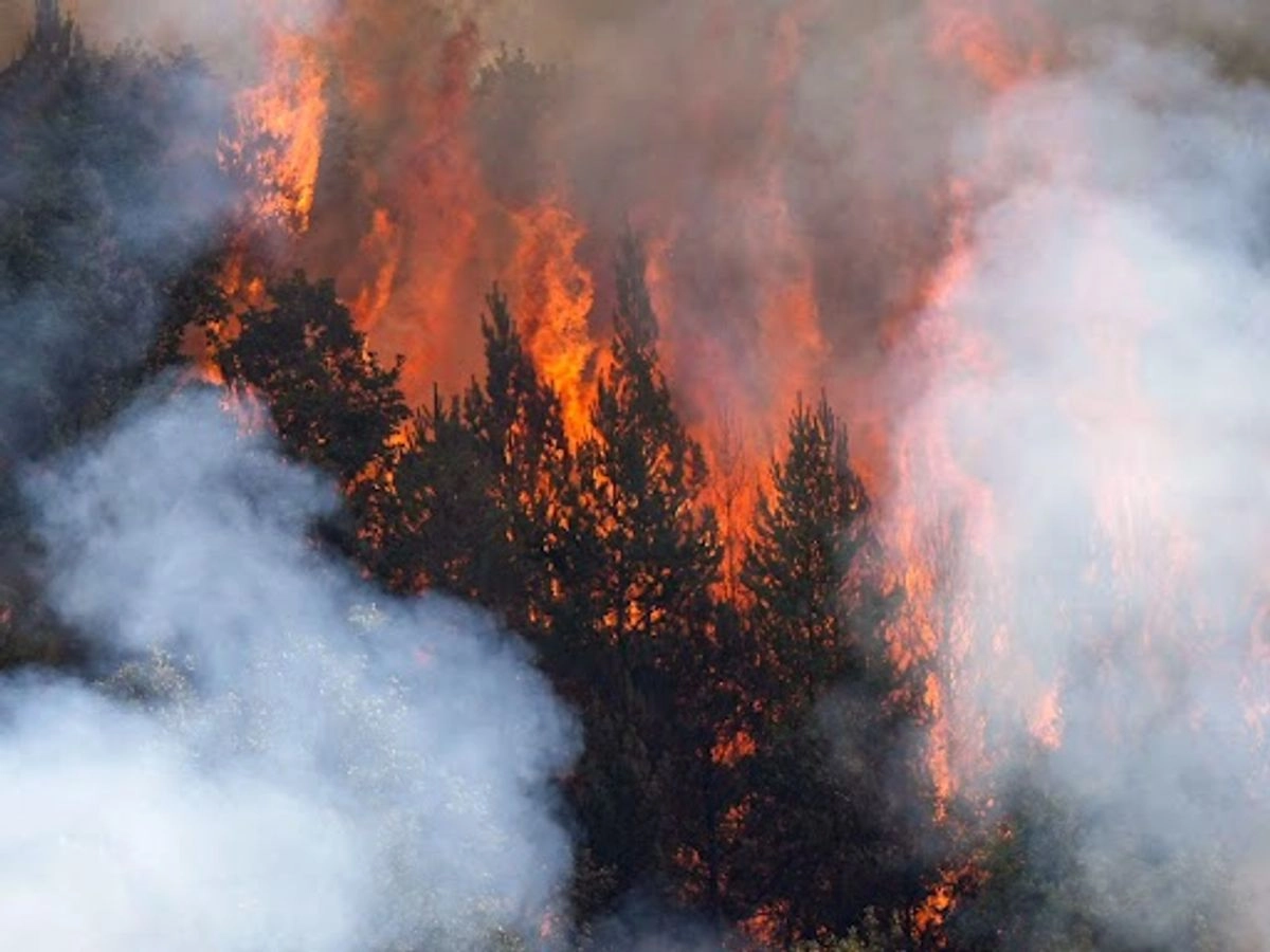 La península ibérica sufre este año la peor ola de incendios de su historia reciente, a la par de las altas temperaturas sin precedente en algunas regiones, con un saldo hasta ahora de 400 mil hectáreas devastadas, es decir, uno por ciento del territorio español, y ocho muertos. La imagen, en la provincia de León. 
