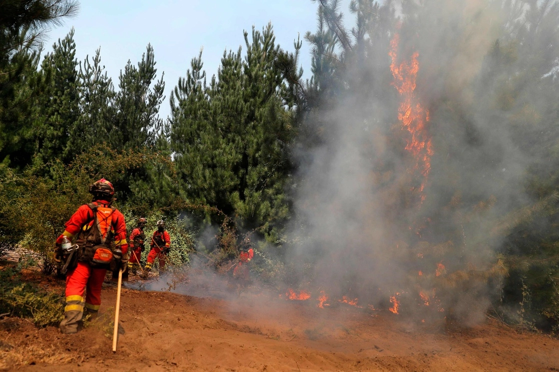 En Chile hay 80 incendios forestales activos. Foto Afp
