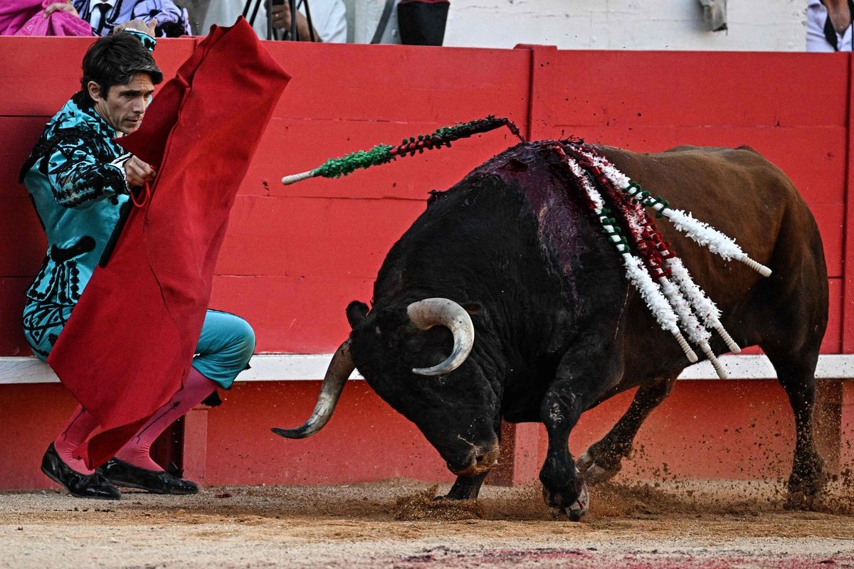Corrida de toros en Nimes, al sur de Francia, el 19 de septiembre de 2025.