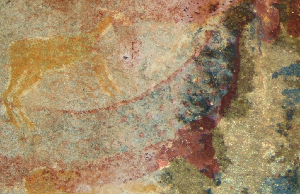 Pintura del dicinodonte realizada por los san a principios del siglo XIX. Un misterioso animal con colmillos representado en el arte rupestre sudafricano puede representar una especie antigua preservada como fósil en la misma región. Foto Europa Press