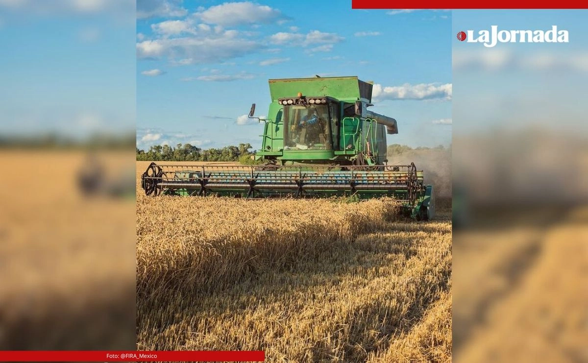 Como parte de la colaboración de Syngenta con FIRA, la institución gubernamental incorporará en su plataforma Agritech un banner de acceso directo a PROAgricultor, facilitando que más productores conozcan y utilicen la herramienta.