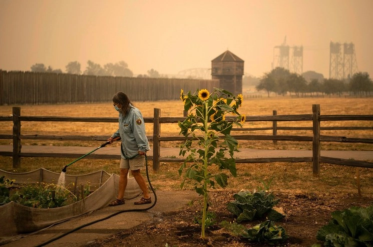 El panorama se torna naranja debido al fuego. Una mujer en el jardín de Fort Vancouver en Washington. Foto Ap