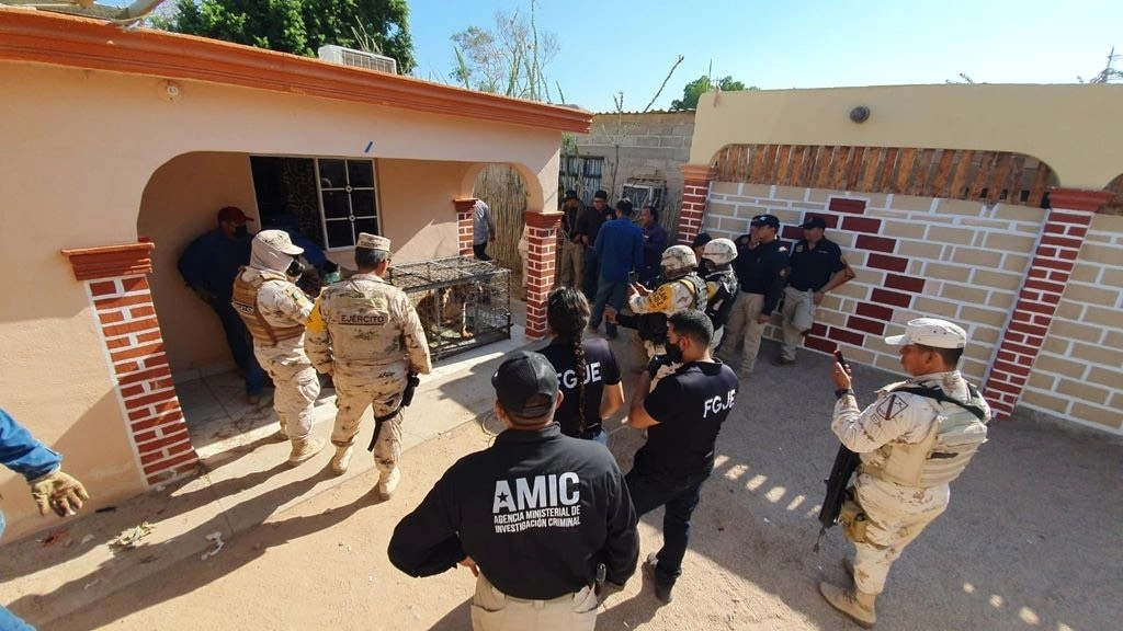 Policías aseguraron el ejemplar y lo pusieron a disposición de la Profepa. Foto Cristina Gómez