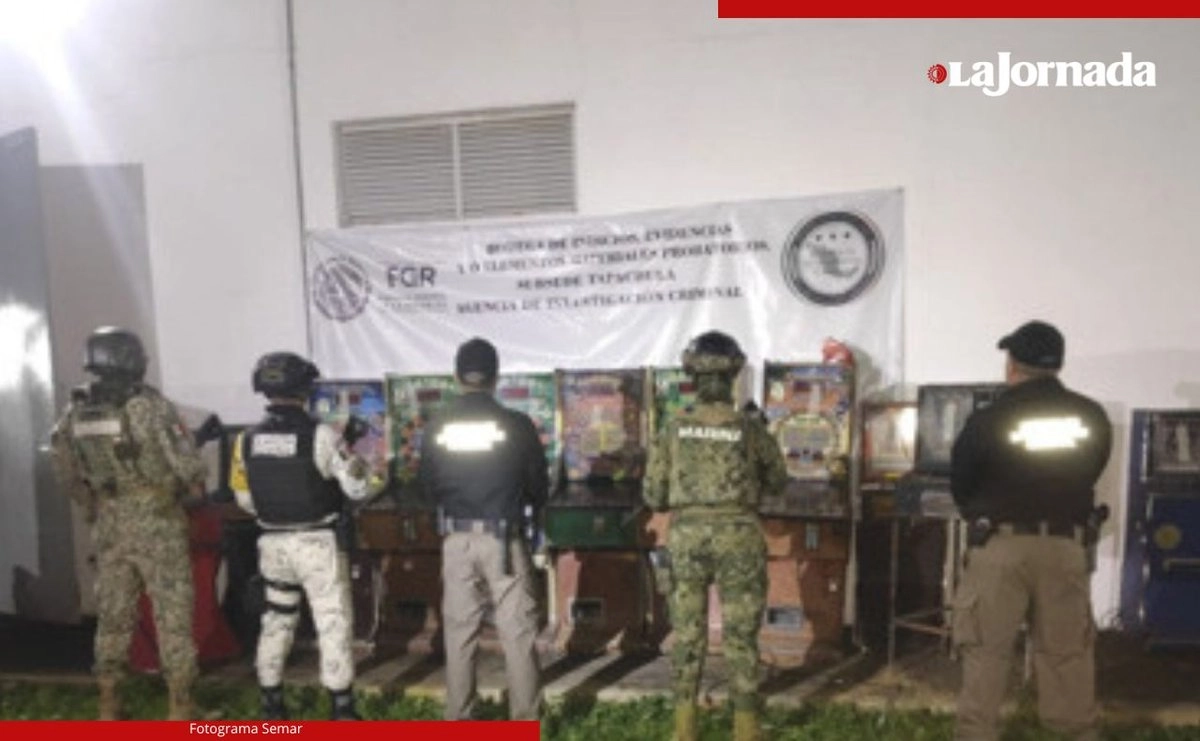 En los sitios se encontraron además seis cajas con aproximadamente 5 mil juegos apócrifos, por lo que todo fue puesto a disposición del Ministerio Público Federal.  Foto 