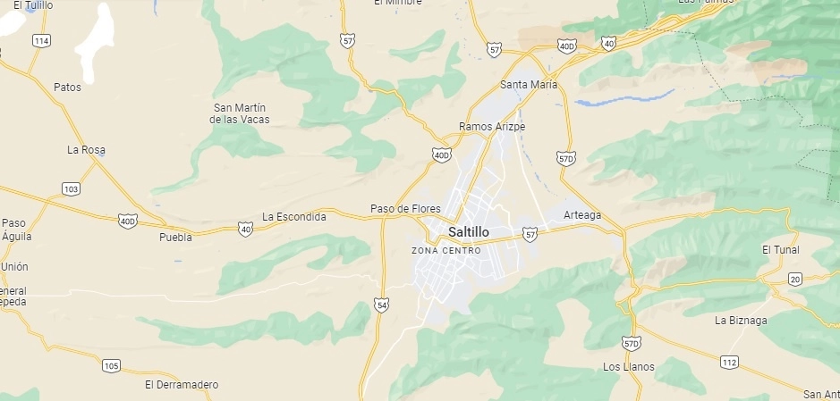 Los osos fueron capturados en calles de la colonia Monte de Sinaí, al oriente de Saltillo, Coahuila. Foto Tomada de Google Maps