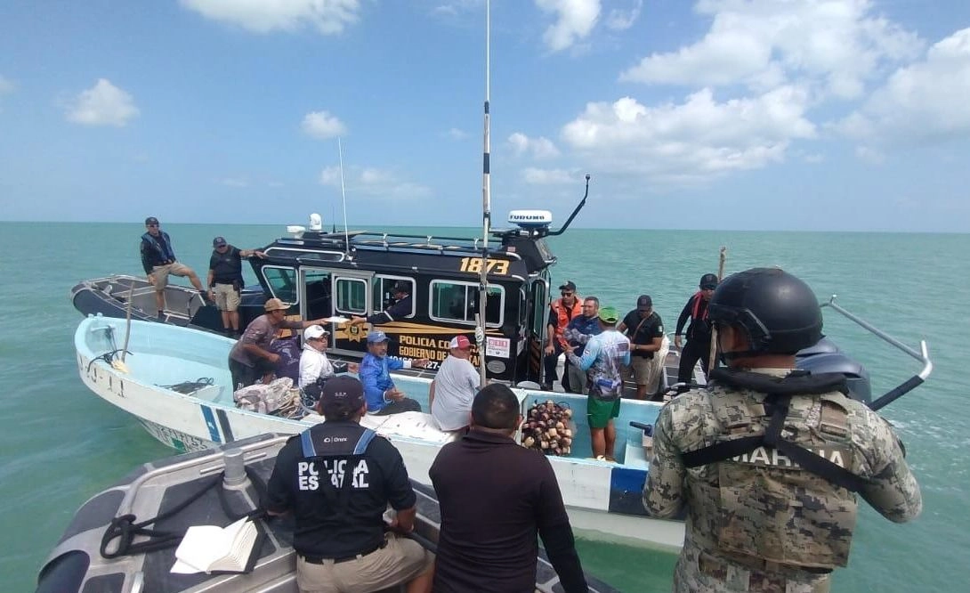 Autoridades federales y estatales aseguraron lanchas utilizadas para la pesca furtiva en Celestún, Yucatán. 
