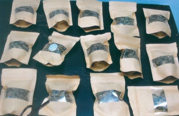 Bolsas con mariguana aseguradas por las autoridades en Jalisco. Imagen tomada de https://x.com/FGR_Jal