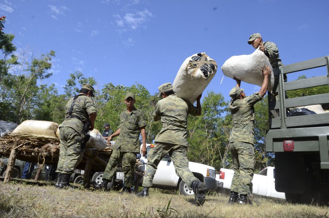 La Jornada - Aseguran en BC, Michoacán y Chiapas, cargamentos de droga  valuados en mil 201 mdp