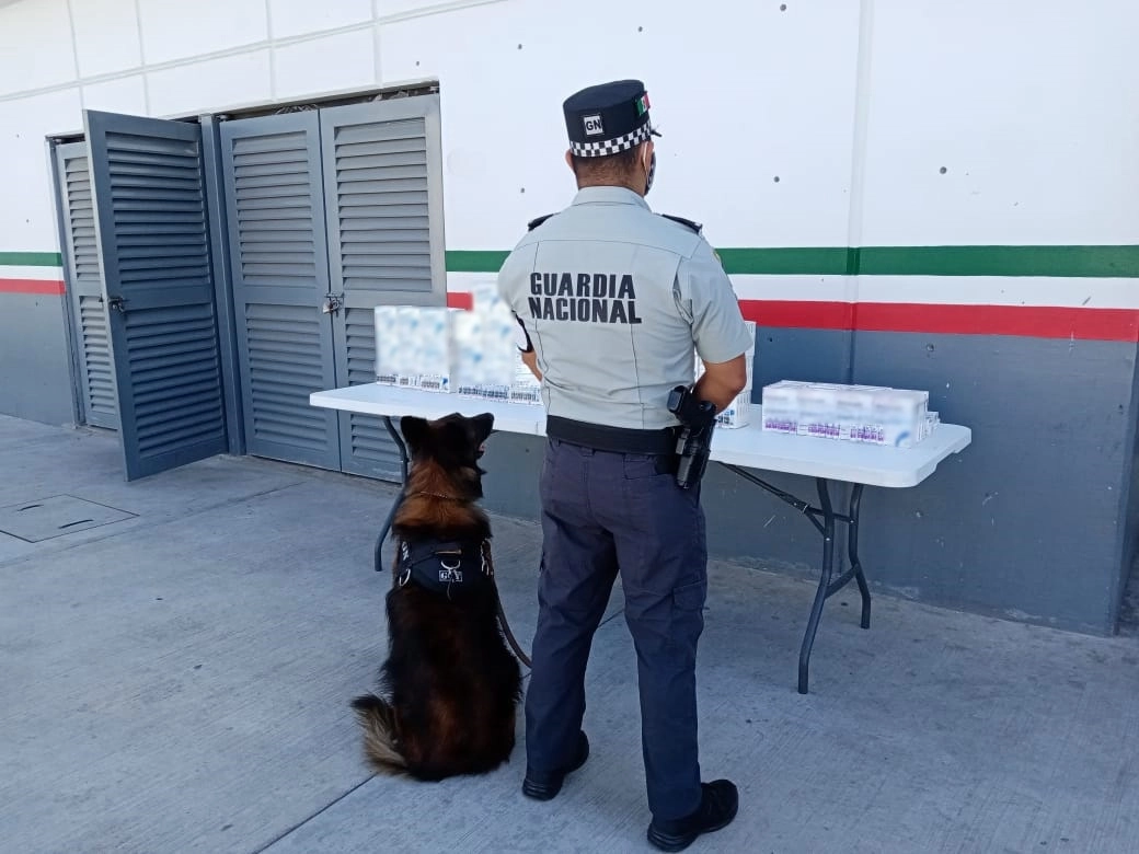 Más de mil 300 ampolletas con aparente fentanilo fueron aseguradas por elementos de la Guardia Nacional en Querétaro. Foto tomada del Twitter @GN_MEXICO_ 