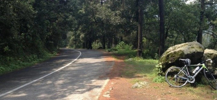 Los primeros reportes policiales señalan que una mujer cercana a la víctima declaró que son empresarios. Foto tomada de http://cdmxtravel.com/es/lugares/parque-nacional-desierto-de-los-leones 