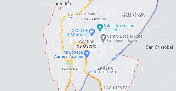 El regidor, sus dos hijos y un trabajador se dirigían al municipio de Santiago Miahuatlán a un jaripeo pero un comando los emboscó y asesinó. Foto Google Maps