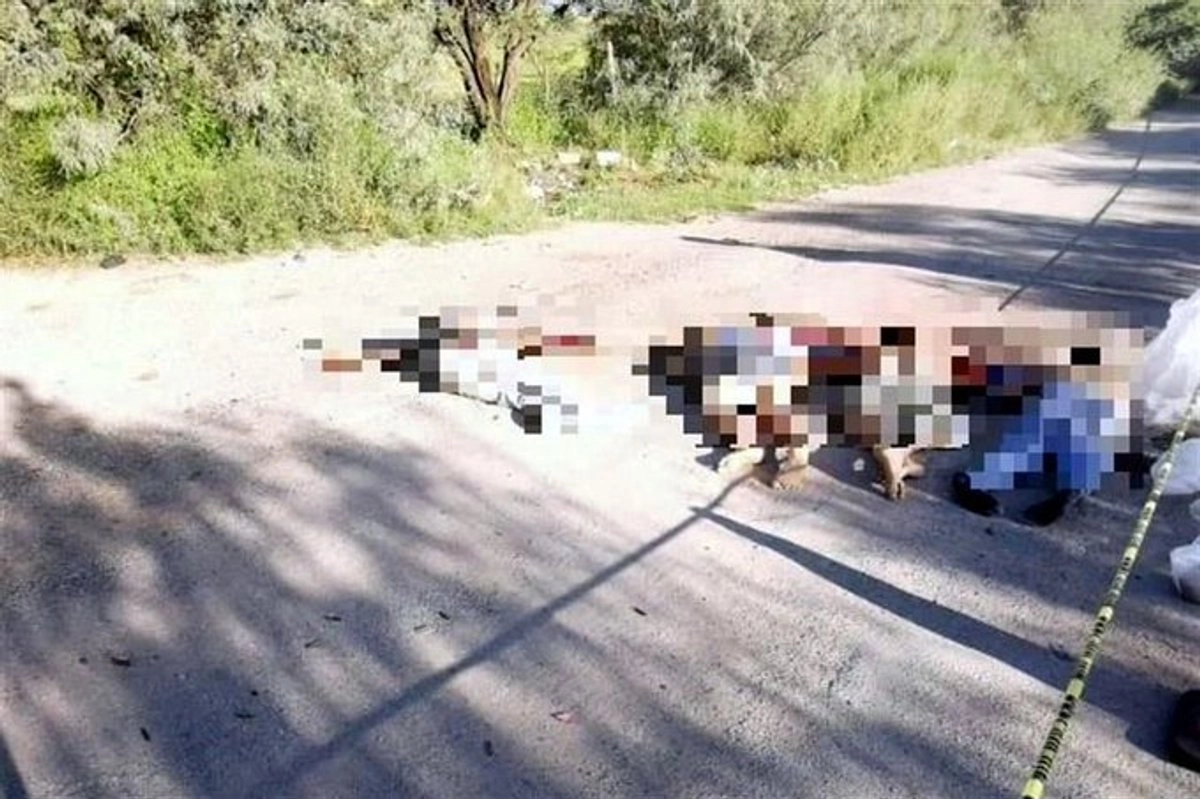 Autoridades locales hallaron cuatro cadáveres maniatados y con signos de tortura en una brecha que comunica a la Universidad Tecnológica de Manzanillo. Foto 