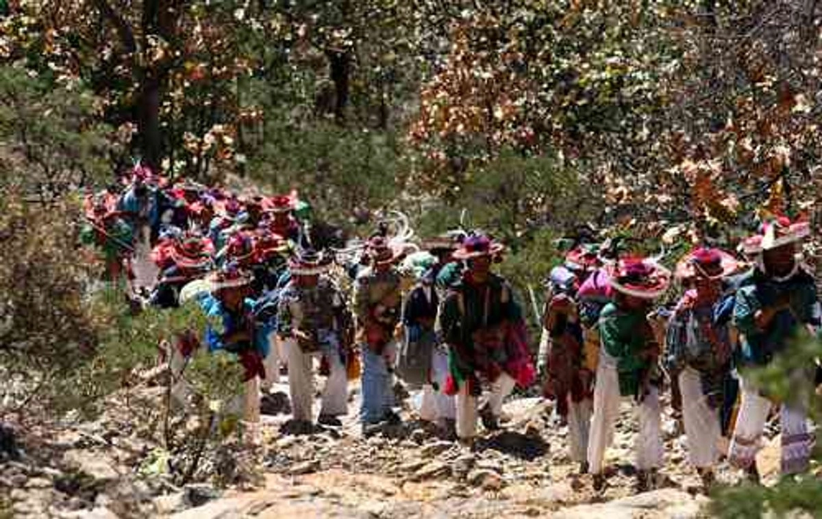 Indígenas wixarikas en Jalisco, en imagen de julio de 2025. Foto