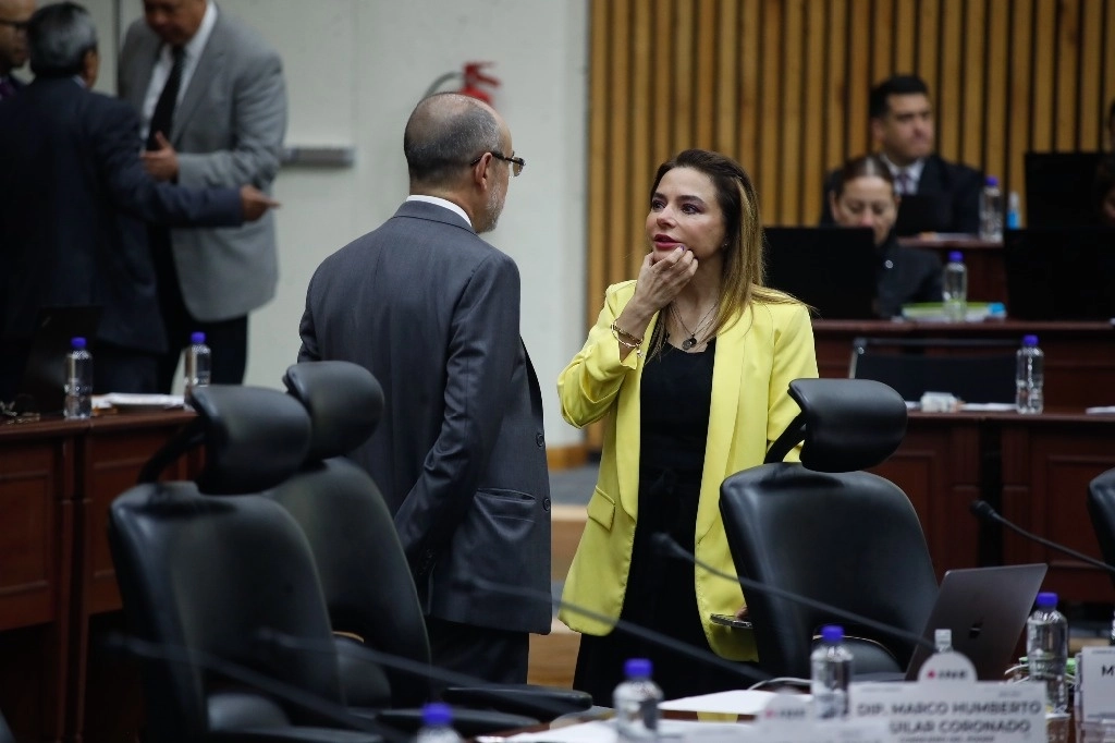 Exigen investigar ‘campaña negra’ desde el exterior. Más de la mitad de ataques al Presidente salieron desde Argentina y España, dijo ayer el representante de Morena ante el INE, Gerardo Fernández Noroña, durante la sesión de ayer. En la imagen, la consejera Carla Humphrey. Foto Cristina Rodríguez 