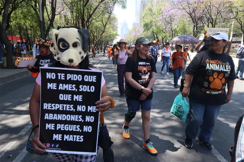Respeto para todos. Las fundaciones Properro, Animales con Derechos en México y Amor con Manos y Patitas encabezaron ayer la marcha en defensa de los animales.