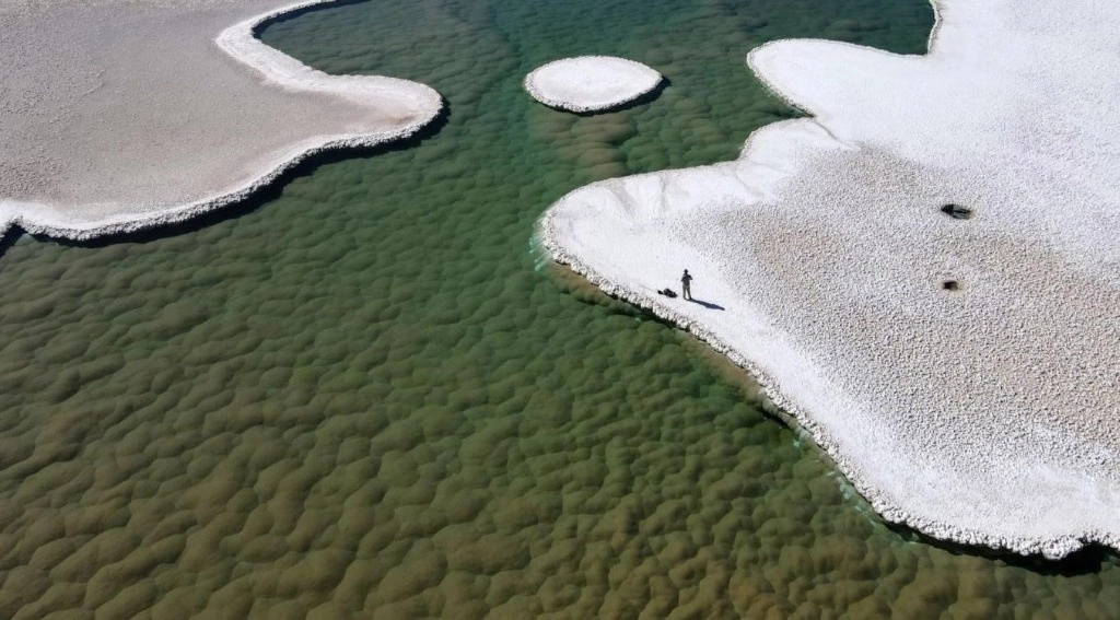 Áreas verdes de estromatolitos florecen en el fondo de la laguna en la Punta de Atacama de Argentina. Foto Europa Press 