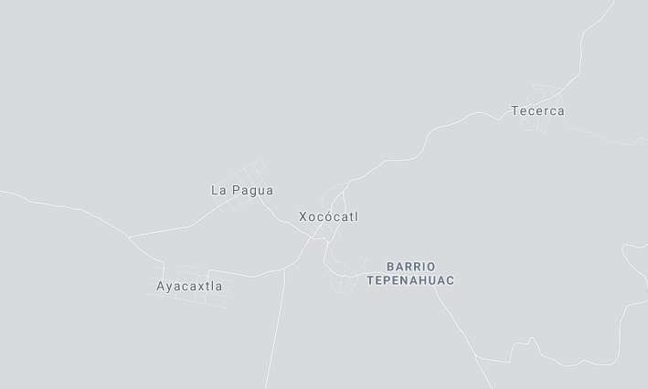 La agresión sucedió en la localidad de La Pagua, del municipio de Colipa, Veracruz. Imagen tomada de Google maps