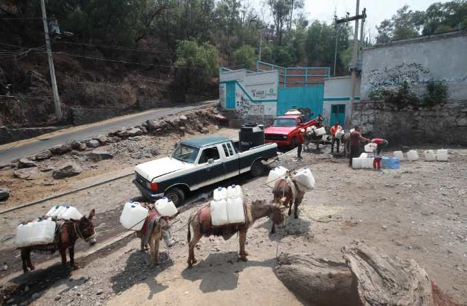 La escasez obliga a transportar agua en burros en Xochimilco. Foto Luis Castillo /Archivo