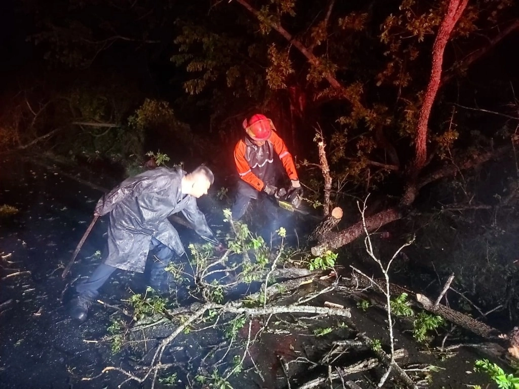 En la carretera a La Peñita de Jaltemba y en Guayabitos se reportaron desplomes sobre un par de vehículos., sin que se reportan personas lesionadas. Foto 'La Jornada' 