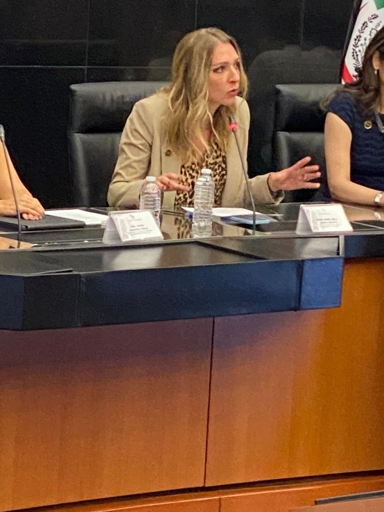 “mientras más rápido mejor”, afirmó María Ariza, directora general de la Bolsa Institucional de Valores (Biva). Foto tomada de X @maria_ariza.