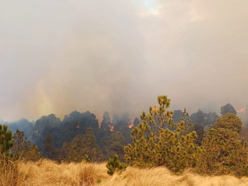 Las conflagraciones también afectan a 42 áreas naturales protegidas, entre ellas Sierra Tecuani en Guerrero, el Corredor Biológico Chichinautzin en Morelos, la Selva el Ocote en Chiapas y la reserva de la biosfera Ría Celestun. Imagen de archivo tomada de https://www.facebook.com/CONAFOR.Central