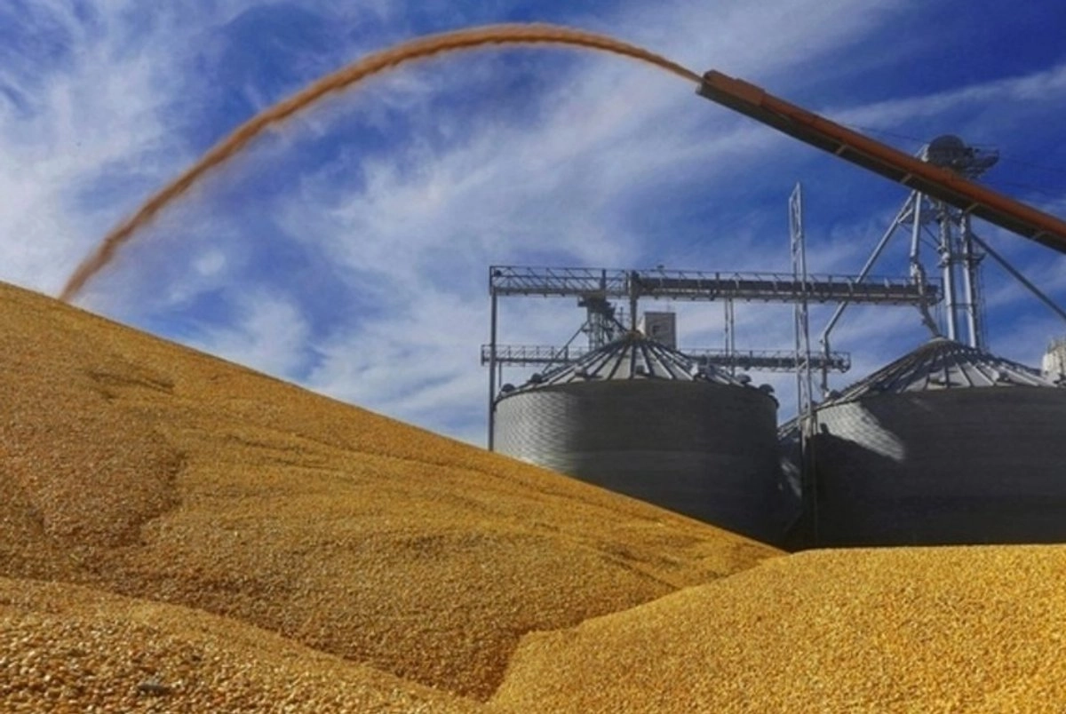 La soya es el principal producto que Brasil exporta a otro países. Foto 