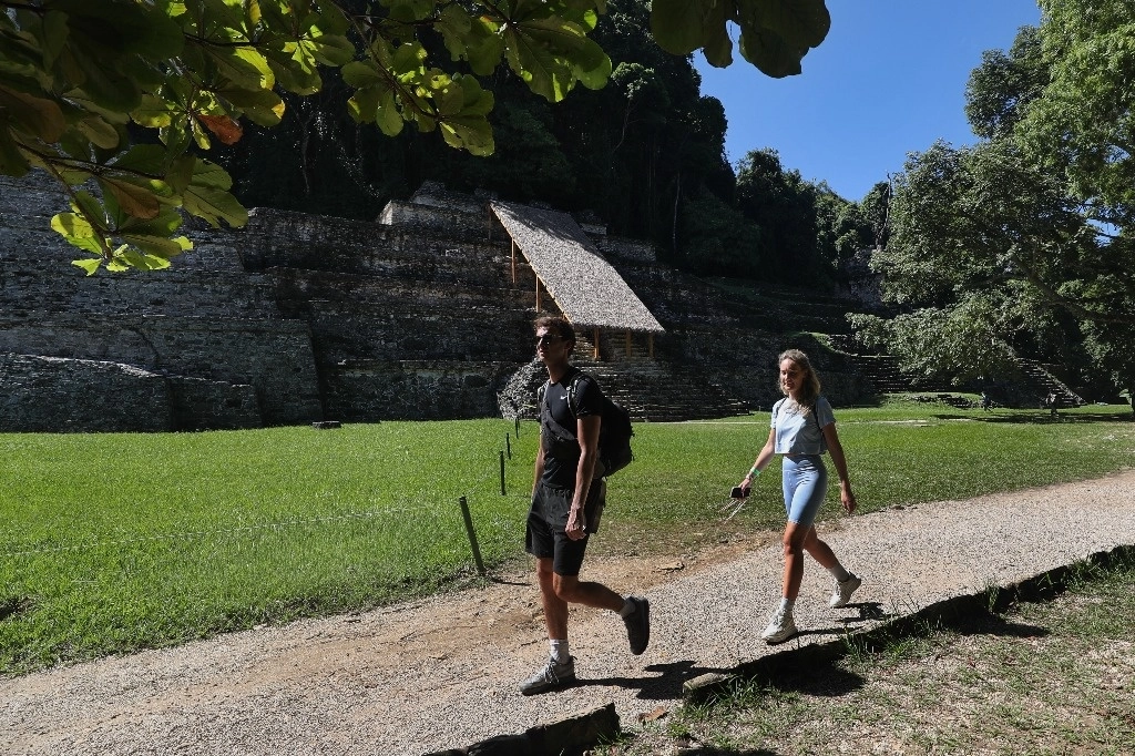 A partir del trabajo de recuperación de zonas arqueológicas en la región maya, el flujo de visitantes aumentó 23.5 por ciento en 2023, informó el director del INAH, Diego Prieto. En la imagen, turistas extranjeros en Palenque. Foto Marco Peláez / Archivo

